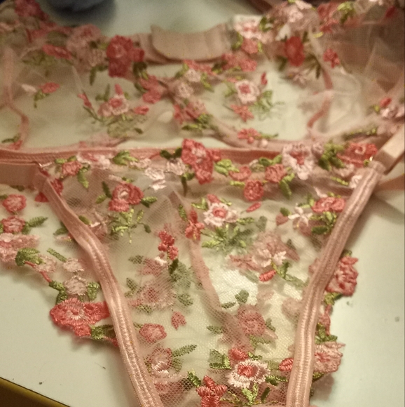 New, floral pink embroidered sheer mesh lingerie set.underwire bra&bikini size m - Picture 1 of 8